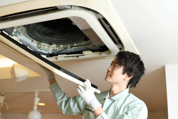 Best Air Vent Cleaning Services  in Luverne, AL